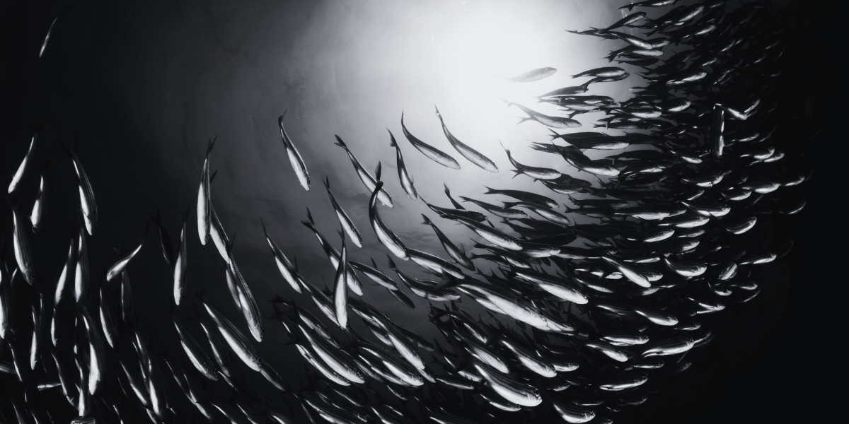 lead-generation-paid-advertising-digital-marketing